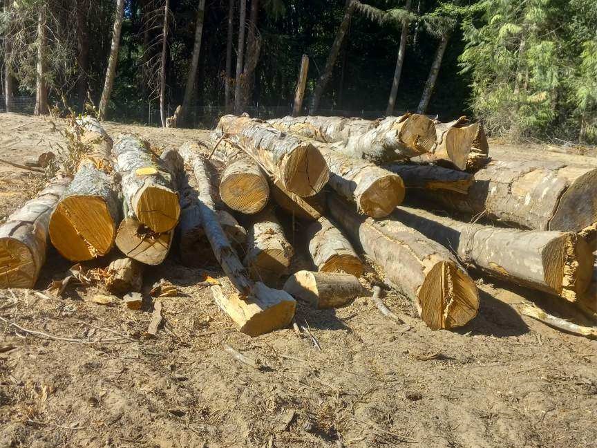CLEARING AND GRADING
